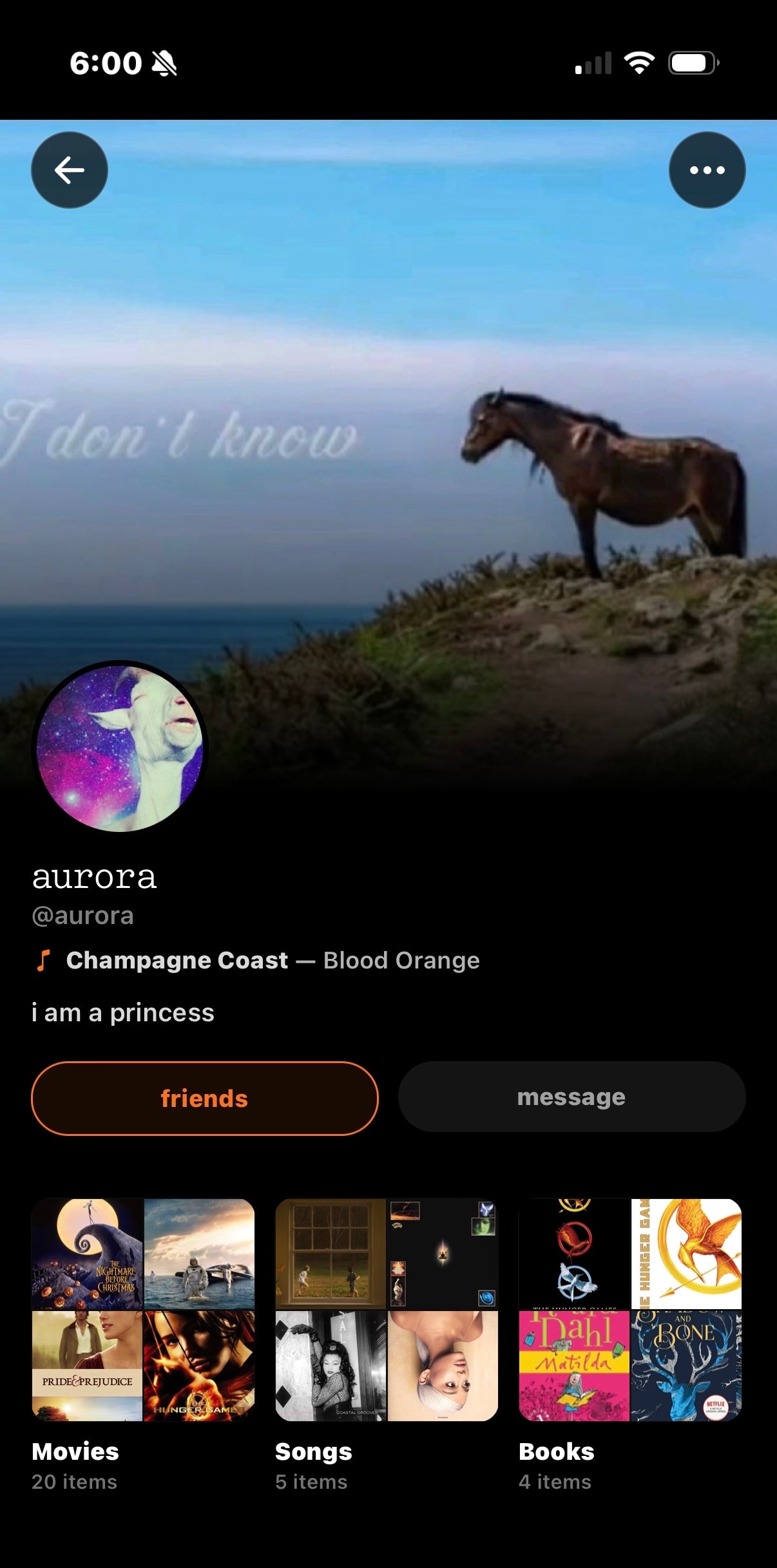 Aurora's Sharespot profile — horse and ocean header, Blood Orange pinned, shelves of movies, songs, and books.