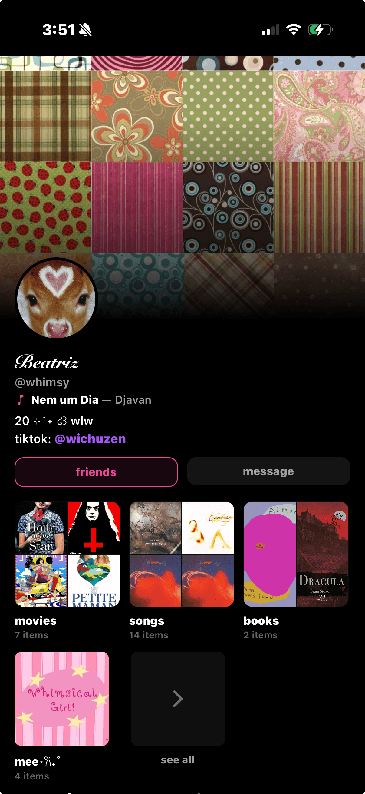 Beatriz's Sharespot profile with a patterned header, fawn avatar, and shelves of movies, songs, and books.
