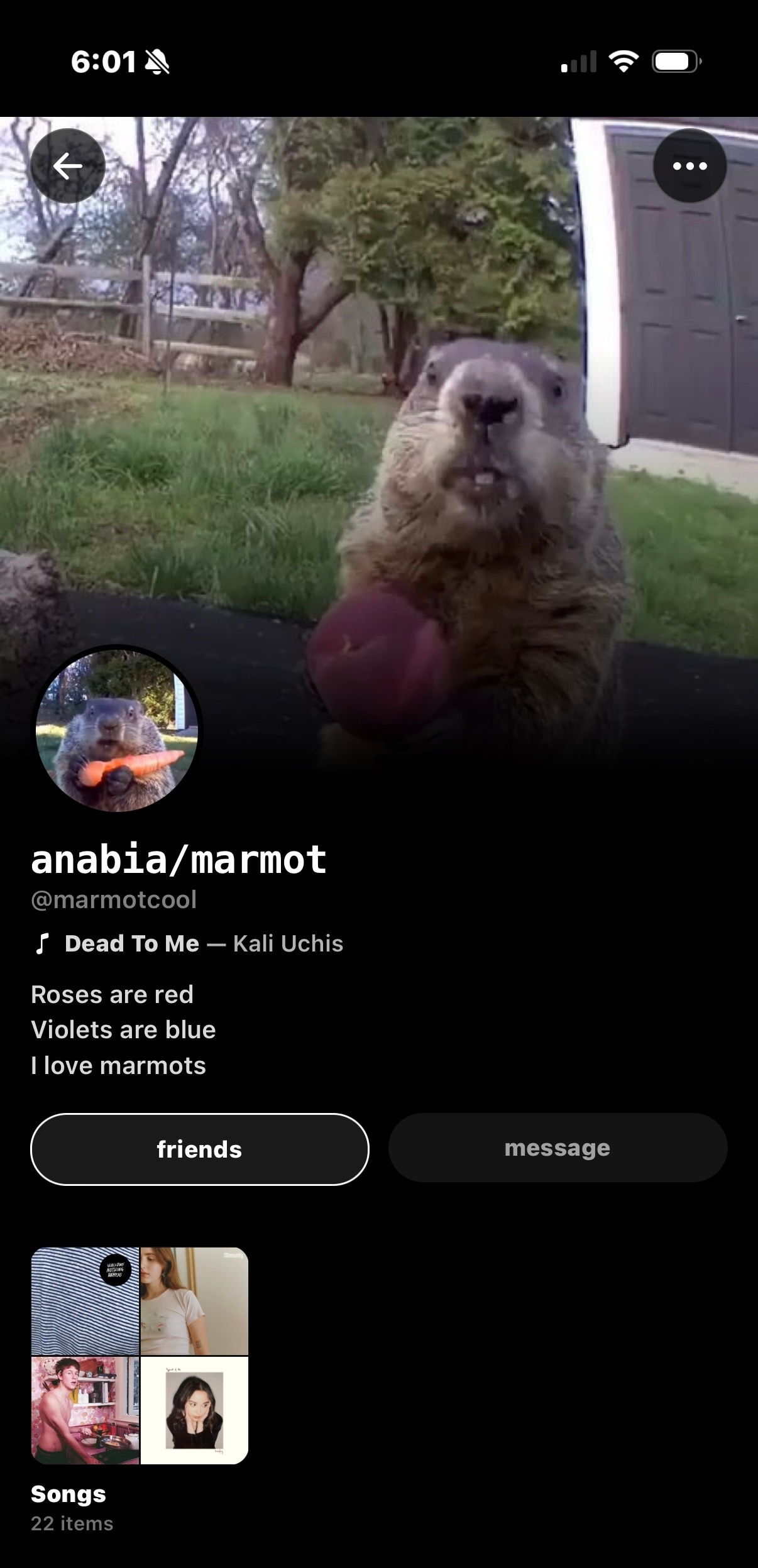 Anabia's Sharespot profile — marmot header, Kali Uchis pinned, shelf of songs.